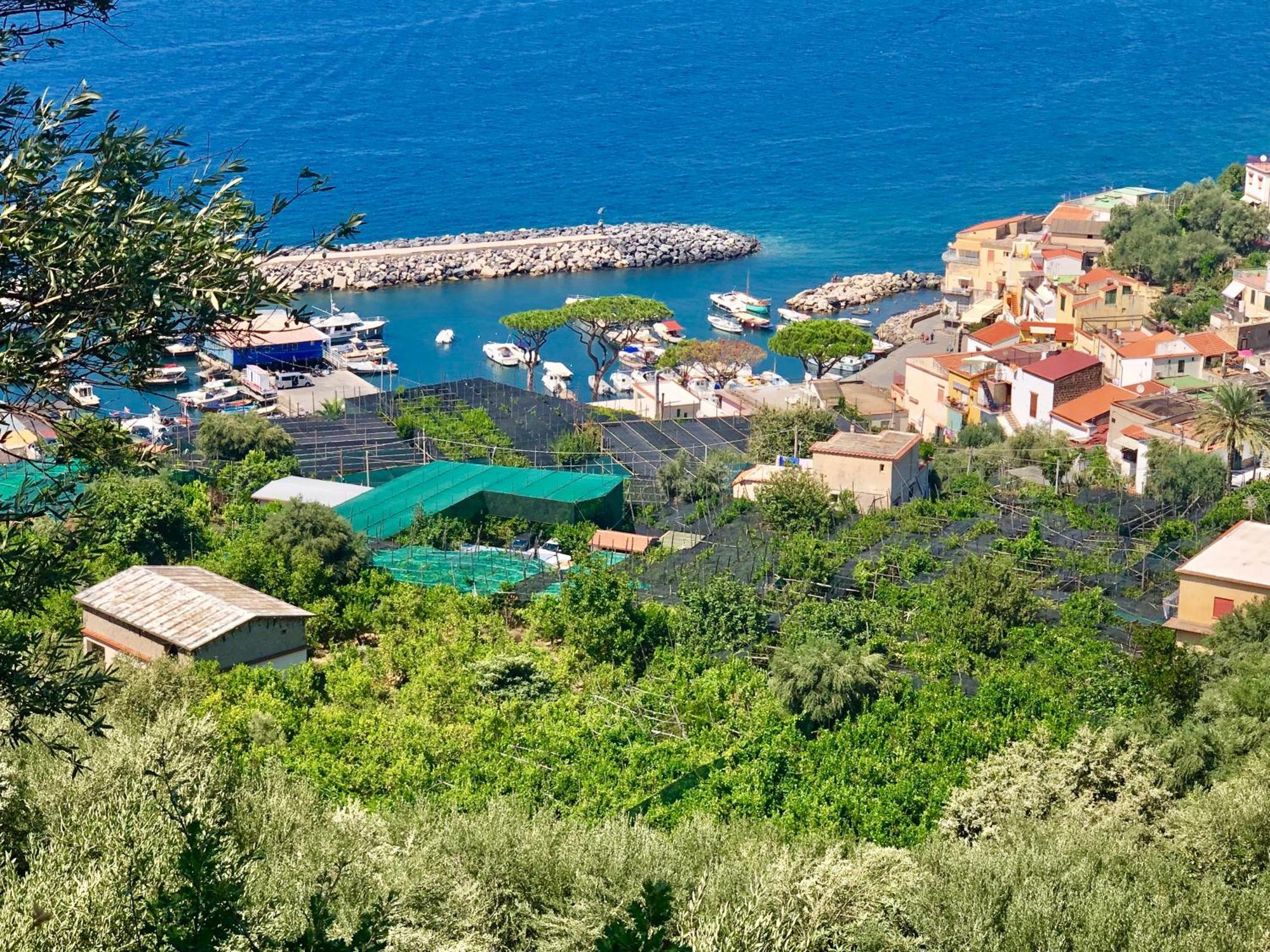 Bilocale Panoramico “Lo Sguardo” Apartment Massa Lubrense Luaran gambar